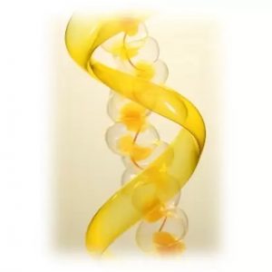 Small interfering RNA