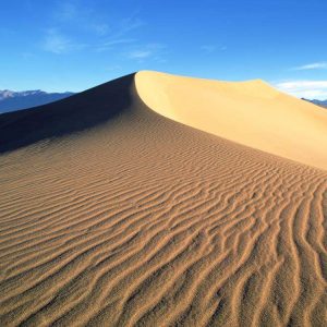 2025 Top 7B2B AI-Powered Marketing Au