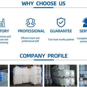 2026 Top 7 High-Purity Succinic Acid Suppliers for Export