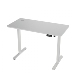 Custom Price Electric Sit Stand up Lift Table Frame up and Down Single Motor djustable Desk with Desktop